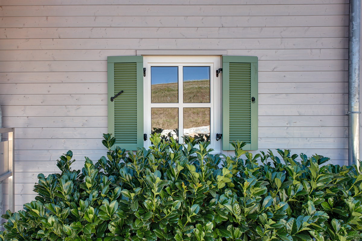 /files/dateien/H%C3%A4user/Interior%20Design/Fenster_Fichte_Fichtenholz_Fensterladen.jpg