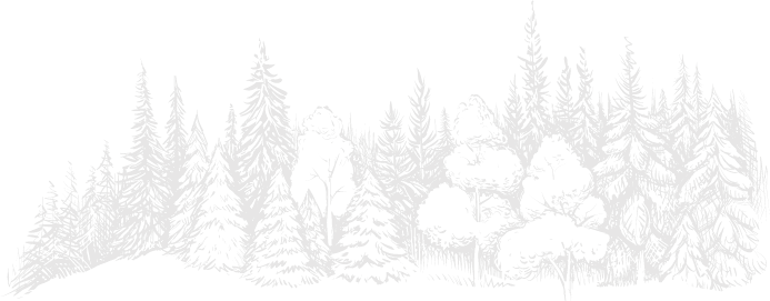 /files/dateien/Illustrationen/Wald.png